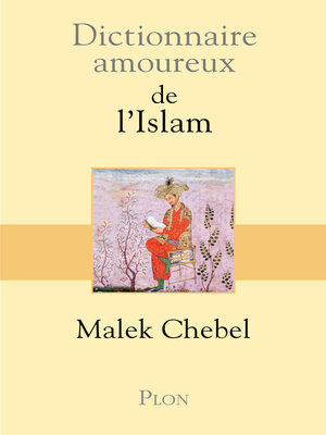 cover image of Dictionnaire amoureux de l'Islam